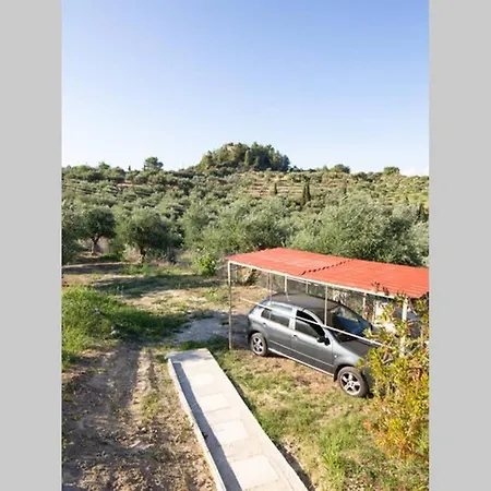 κτήμα παπαβασιλόπουλος 2 - *