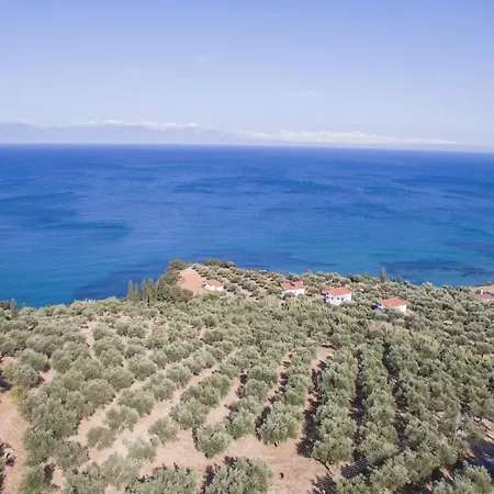κτήμα παπαβασιλόπουλος 2 -